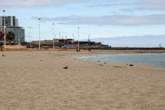 WhatsApp Image 2025-04-16 at 11.12.31 (1).jpeg